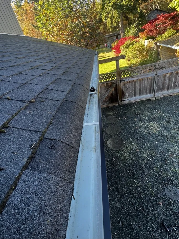 Gutter after cleaning