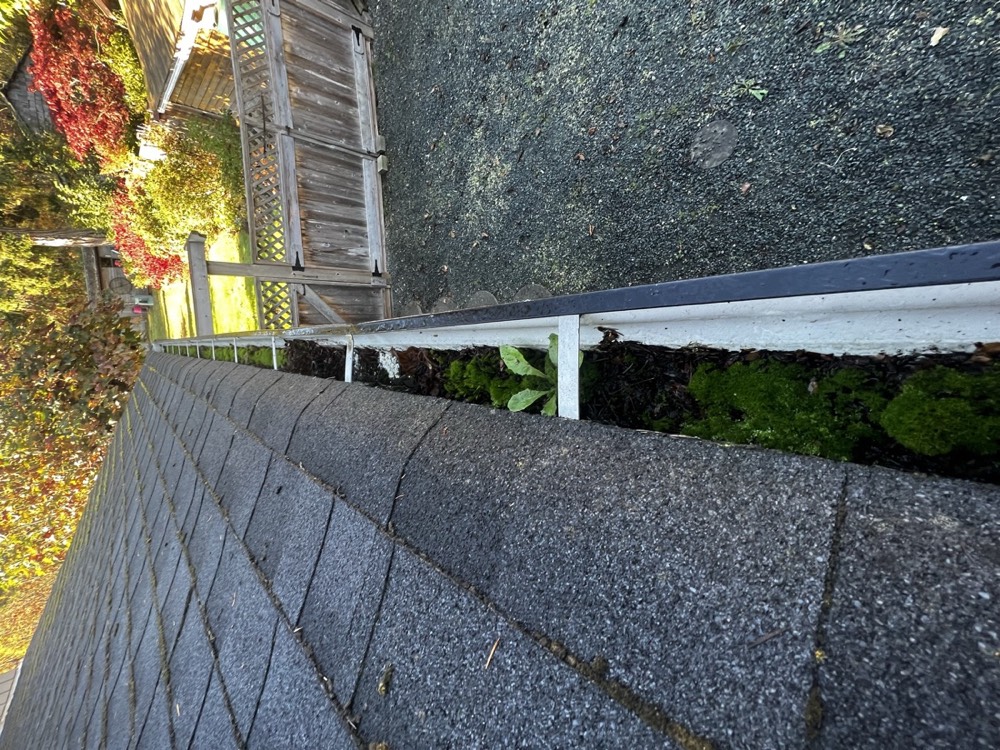 Gutter before cleaning