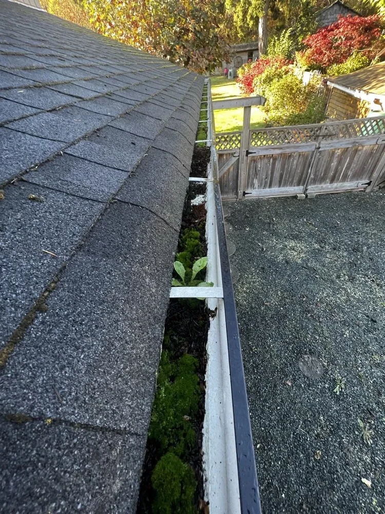 Gutter before cleaning