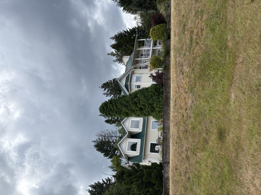 Island Moss Busters project on Vancouver Island