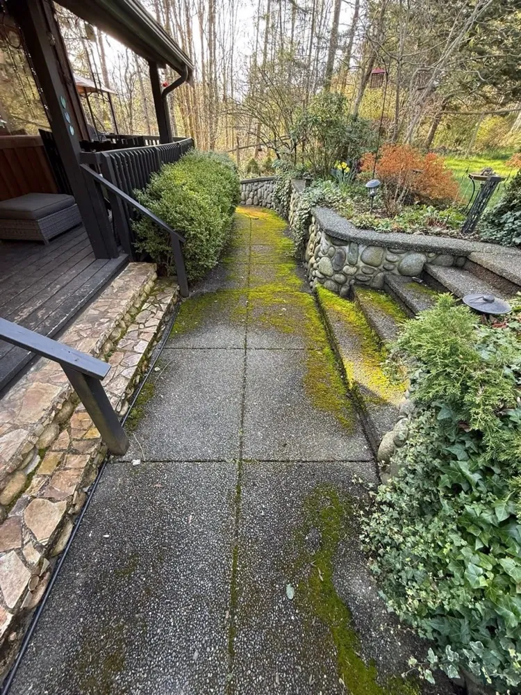 Surface before pressure washing