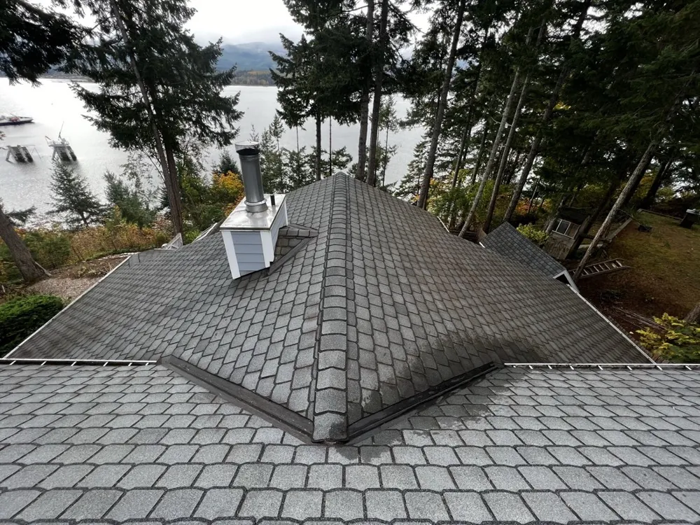 Roof after moss removal