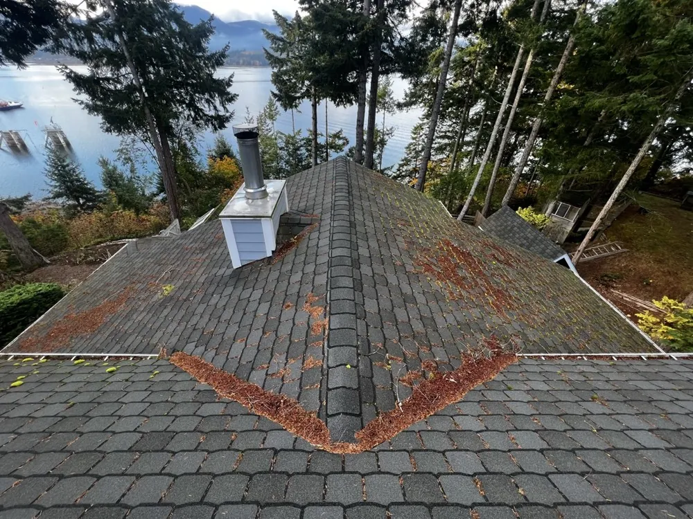 Roof before moss removal