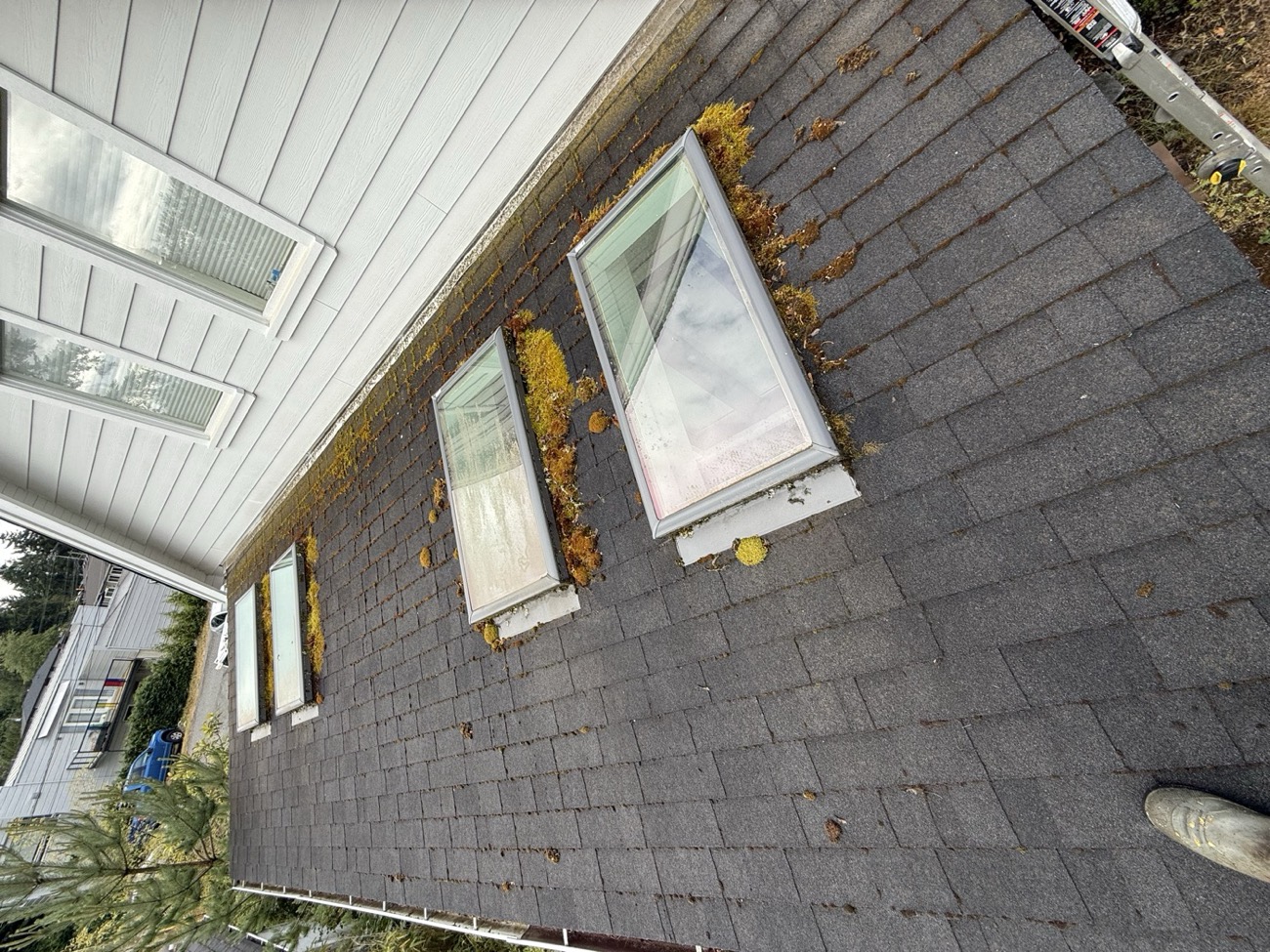 Home exterior before cleaning
