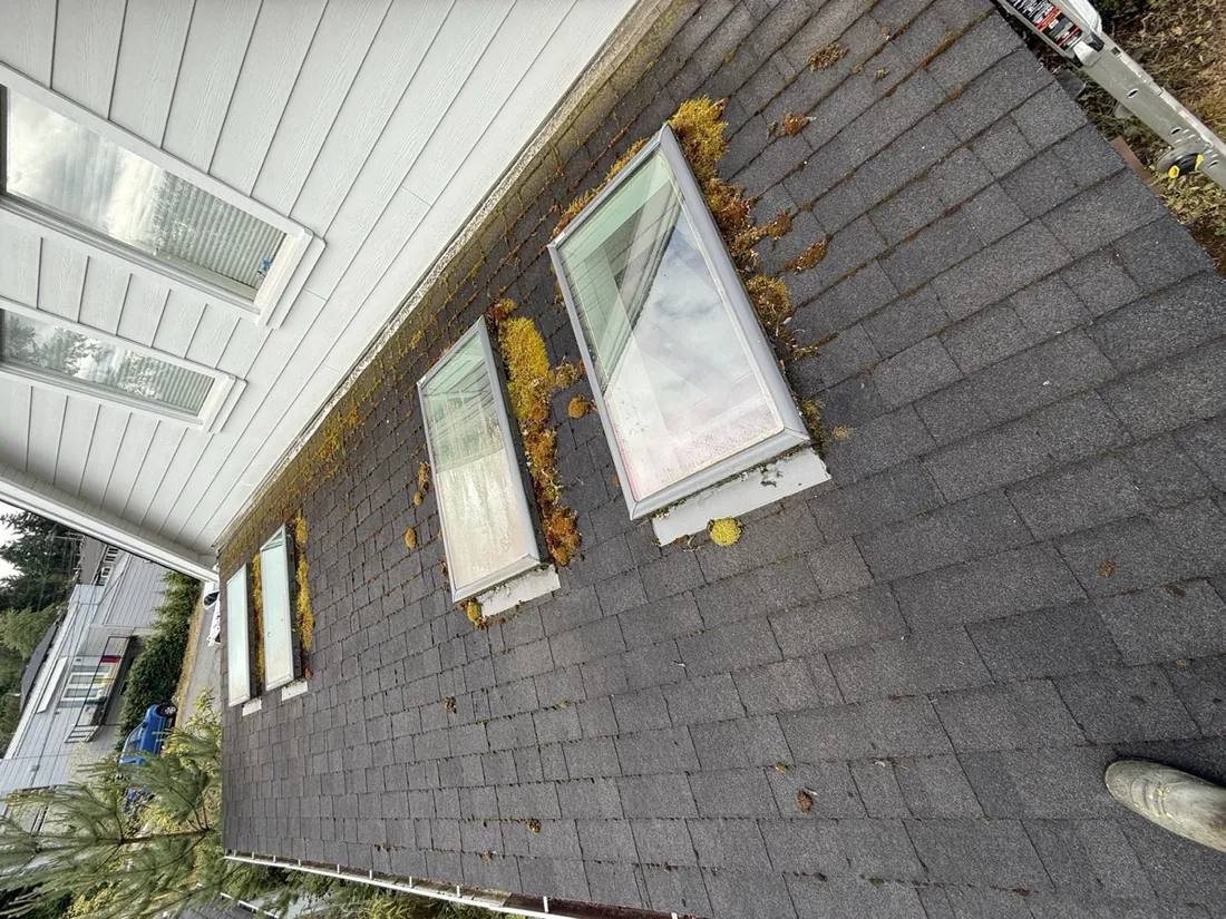 Home exterior before cleaning
